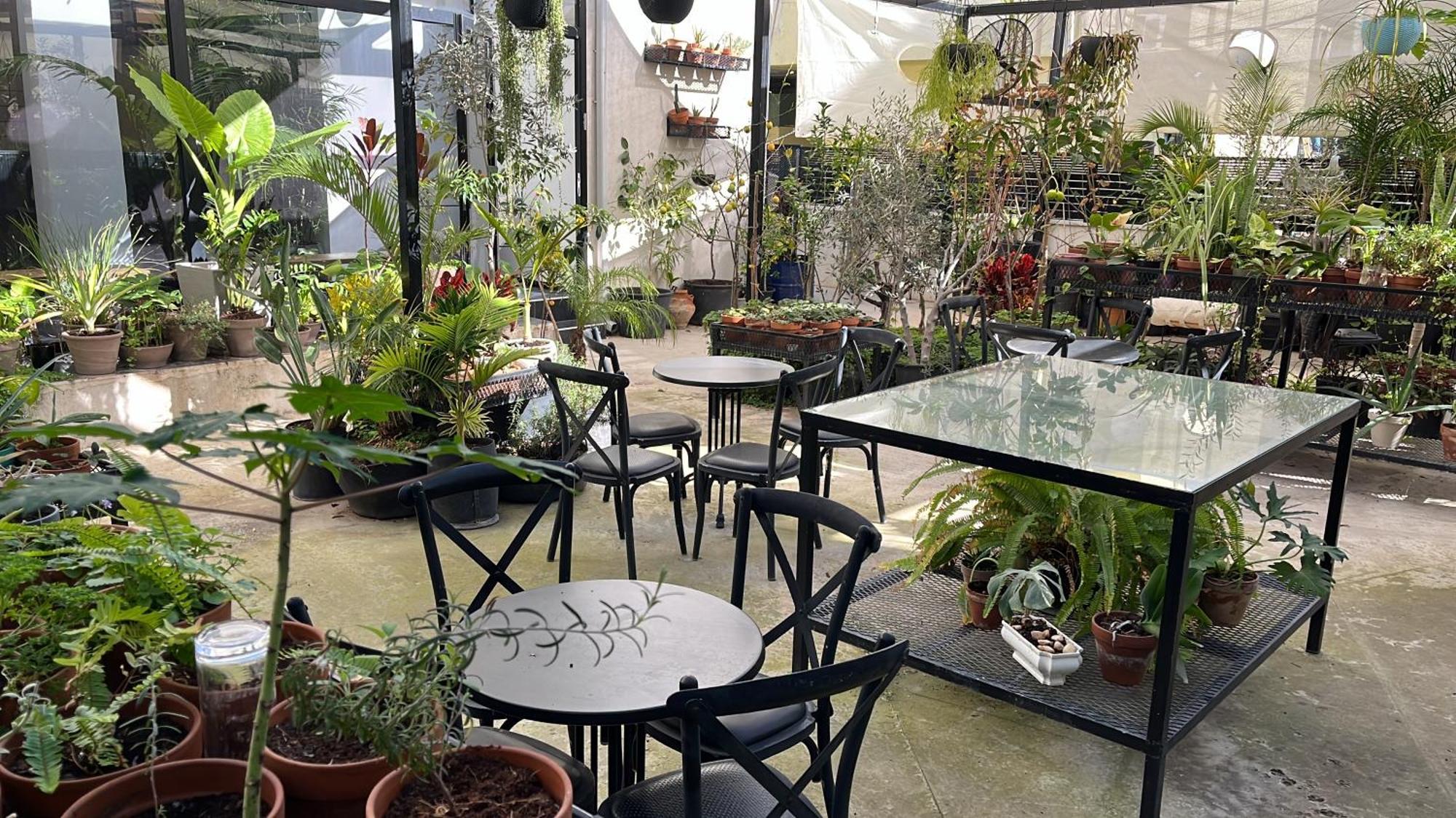 Yona 8 Bed & Breakfast Tel Aviv Eksteriør bilde